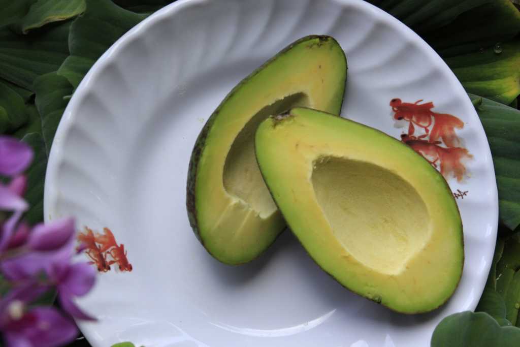 Is Avocado Good for Babies?