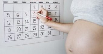Am I Pregnant or Paranoid Quiz